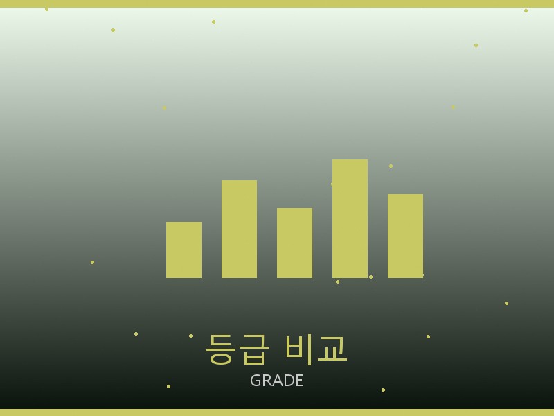 세인트 레플리카 사이트 등급 기준 비교